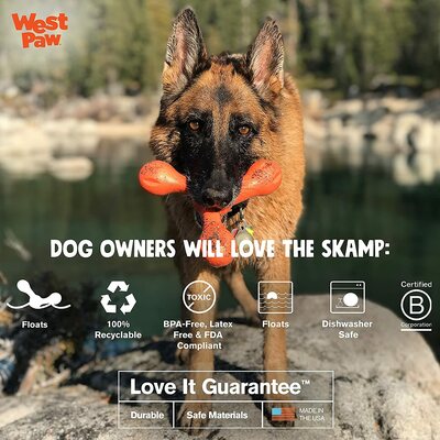 dog with recycled toy