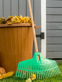 Broom and bin