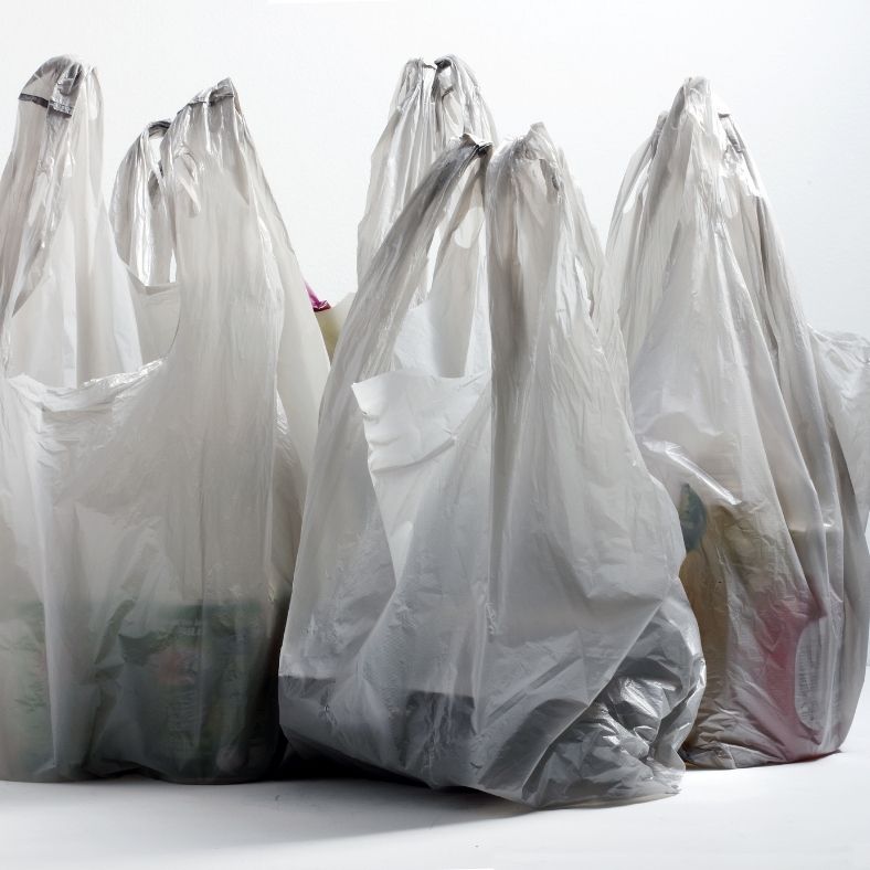 plastic bags